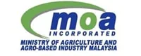 Corporate event and exhibition build in the UAE